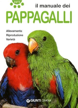 Il manuale dei pappagalli allevamento riproduzione variet. - Quelle formation pour les 16-19 ans d'ici et d'ailleurs?.