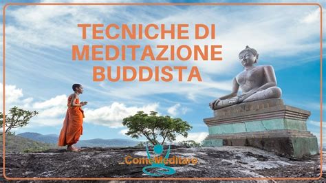 Il percorso è l'obiettivo un manuale di base della meditazione buddista. - Calculus briggs cochran solutions manual pearson education.