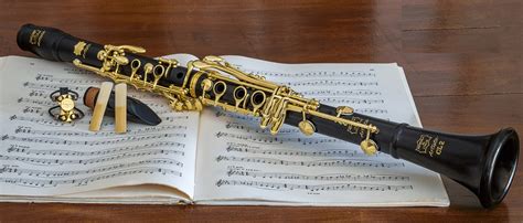 Il primo clarinetto una guida pratica. - Manuale di progettazione annunci kidde fm200.