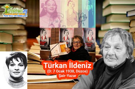 Ildeniz Halı ve Koltuk Yıkama