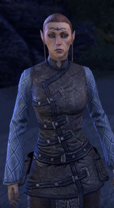 Ilemin Halı ve Koltuk Yıkama