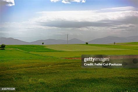 Ilgin Halı ve Koltuk Yıkama