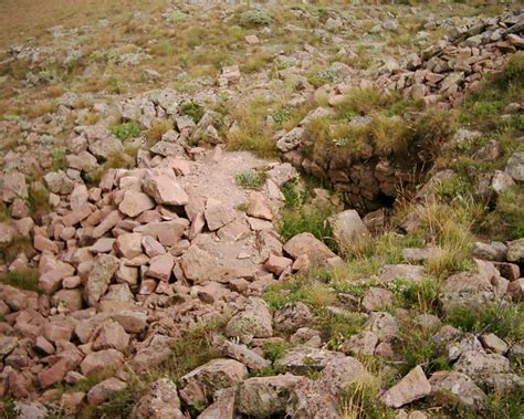 Ilifos Halı ve Koltuk Yıkama