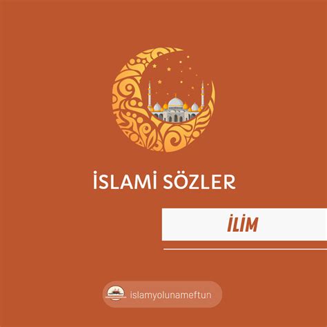 Ilim Halı ve Koltuk Yıkama