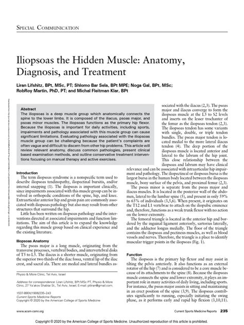 Iliopsoas the Hidden Muscle: Anatomy, Diagnosis, and Treatment …