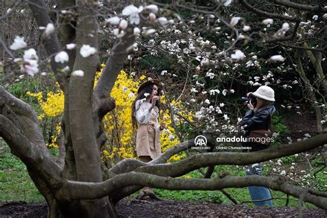 Ilkbahar Halı ve Koltuk Yıkama