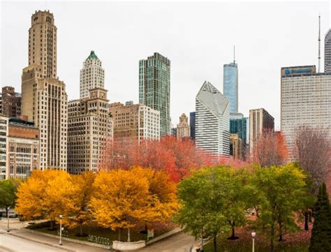 Illinois' No.1 'hidden gem' for fall foliage not far from Chicago, according to survey