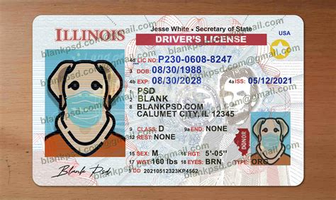 Illinois Drivers License Template