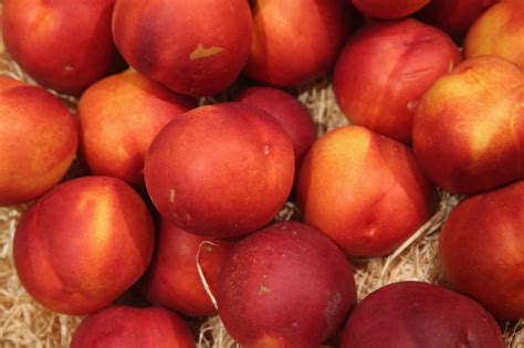 Illinois among states impacted by Listeria outbreak linked to peaches, nectarines and plums  
