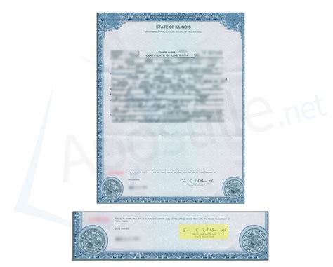 Illinois birth certificate Fill out & sign online DocHub