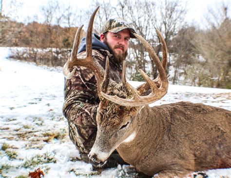 Illinois deer hunting hours. Things To Know About Illinois deer hunting hours. 