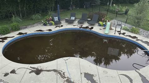 Illinois family still shaken after vandals poured oil into their pool, breaking window