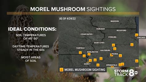 Illinois morel map 2023. The Great Morel Information Exchange Facebook Group , dedicated to all those who share the love of hunting morel mushrooms. The Great Morel started this Facebook group to encourage a higher level of interaction with those of you serious (or seriously crazy) morel mushroom hunters. This was kicked off mid-season in 2018 and we hope you all will ... 