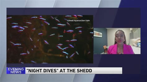 Illinois residents get free admission to the Shedd certain nights in June