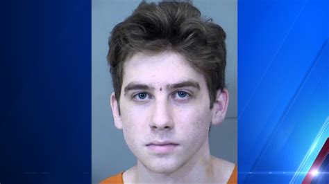 Illinois teen stabbed girlfriend while she slept after finding videos on her phone, police say