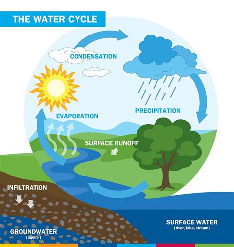 Illustrate the water cycle. The water cycle describes the movement of 500 trillion tonnes of water around the Earth every year. Water on Earth is present as all three states of matter – solid, liquid and gas – and is continually going through physical state changes including evaporation, condensation, freezing and melting. 