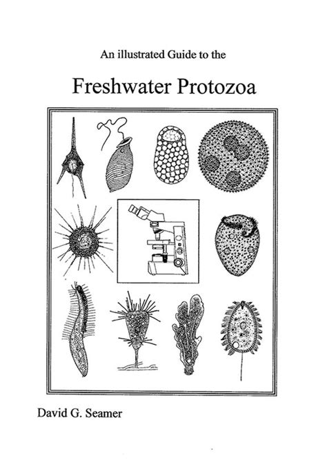 Illustrated guide to the protozoa second edition. - Handbook to the new gold fields.