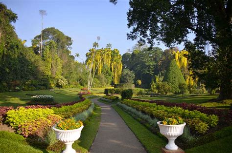 Illustrated guide to the royal botanic gardens peradeniya. - With gentleness humor and love a 12 step guide for.