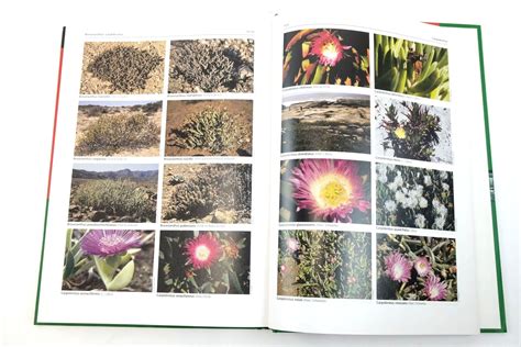 Illustrated handbook of succulent plants aizoaceae a e 1st edition. - Château de carrouges, chartrier et papiers de la famille le veneur, 1394-1925.