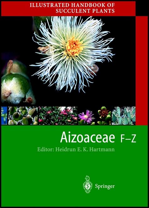 Illustrated handbook of succulent plants aizoaceae f z 1st edition. - Iva y las transmisiones globales del patrimonio empresarial o profesional.