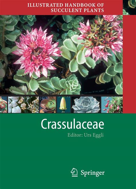 Illustrated handbook of succulent plants crassulaceae by urs eggli. - Beth kery desde que te vi.