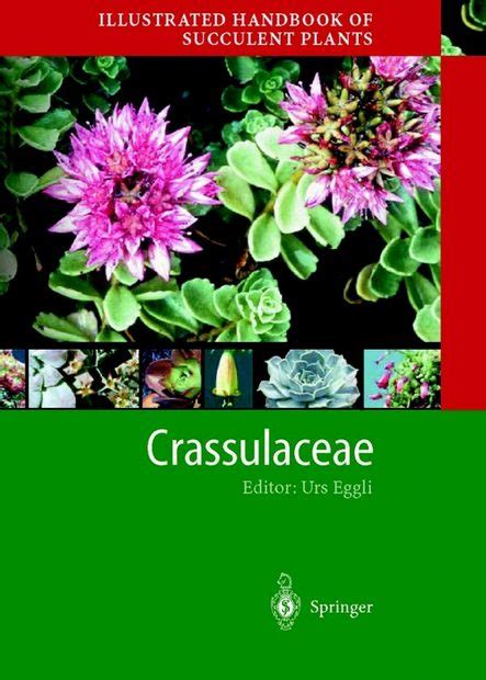 Illustrated handbook of succulent plants crassulaceae corrected 2nd printing. - C220 d manuale di riparazione gratuito.