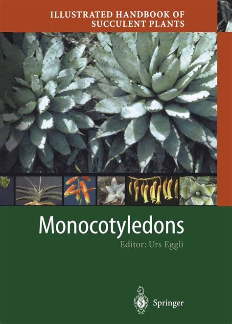 Illustrated handbook of succulent plants monocotyledons. - Embargos civeis n. 13.990 de campinas.