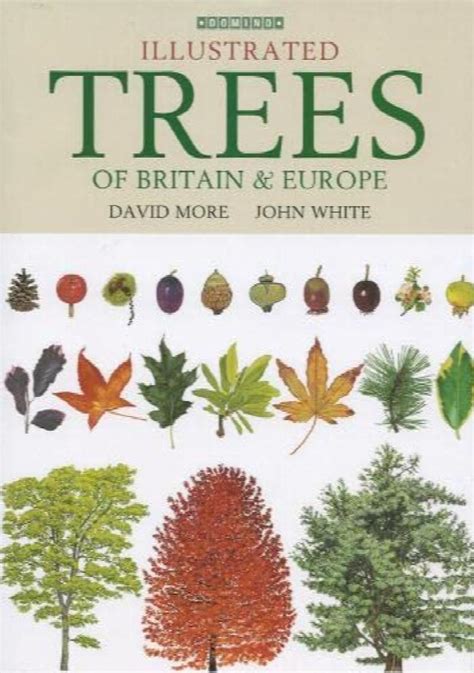 Illustrated trees of britain and northern europe a complete guide to the trees of britain and northern europe. - Comentario general sobre la industria del cemento.