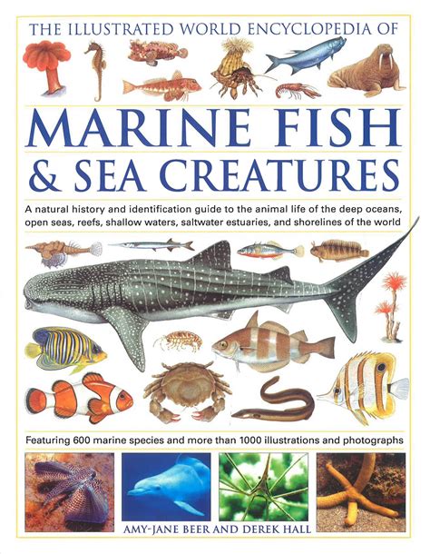 Illustrated world encyclopedia of marine fish and sea creatures. - Leatherworking handbook a practical illustrated sourcebook of techniques and projects.