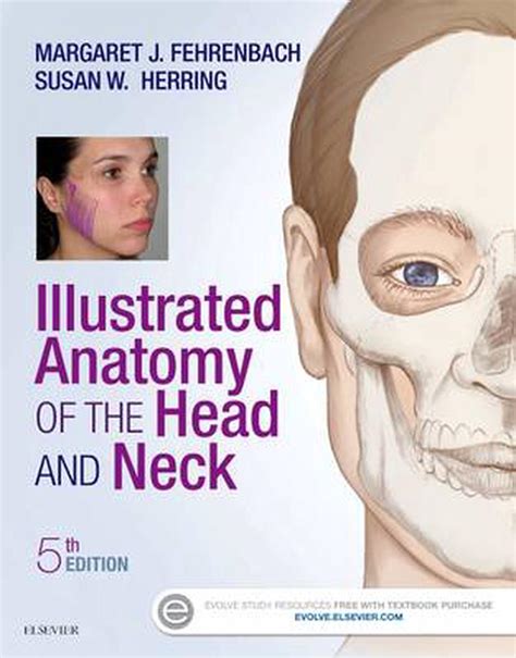Download Illustrated Anatomy Of The Head And Neck By Margaret J Fehrenbach