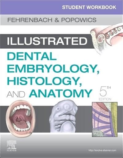 Read Online Illustrated Dental Embryology Histology And Anatomy  Text And Student Workbook Package By Margaret J Fehrenbach