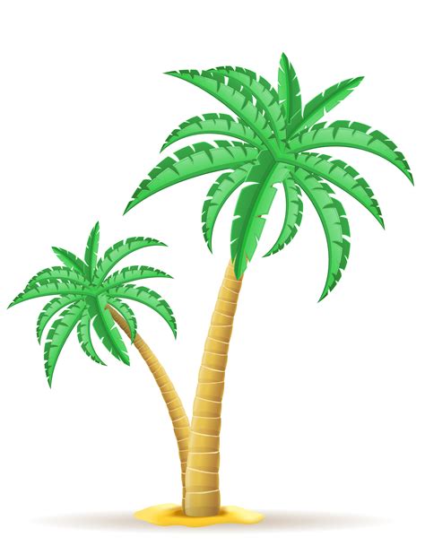 Illustration Palm Tree