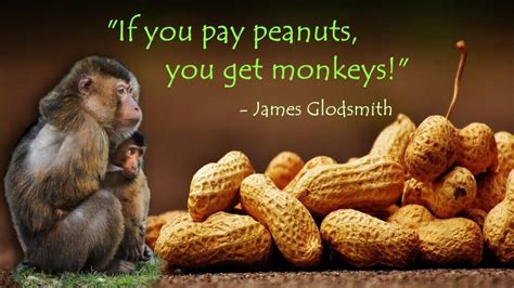 Im A Flea Bit Peanut Monkey Quotes, Quotations & Sayings 2024