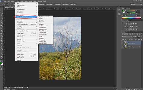 Image Adjustments in Photoshop - East-Comm