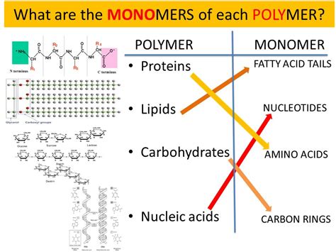 Image Gallery Monomers Chart