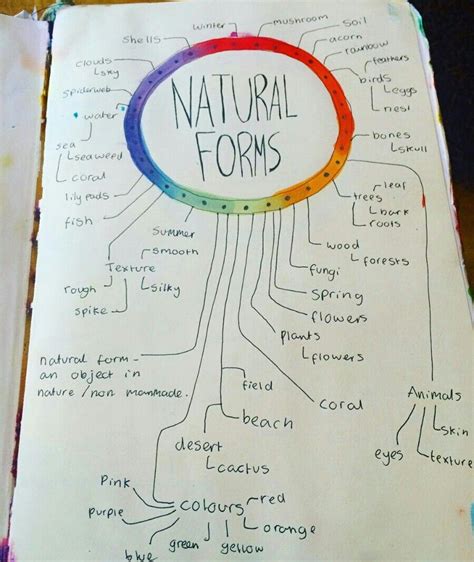 Image Result For Gcse Art Coursework Natural Forms Mind Map Mind Map