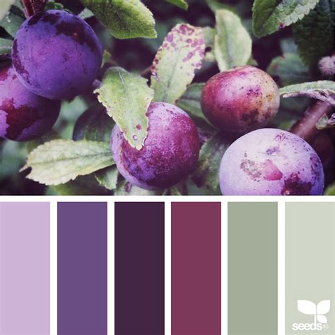 Image Result For Purple And Yellow Color Palette Color Schemes Seeds Color Design Seeds