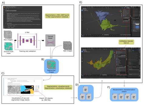 Image segmentation jupyter notebook.  Image segmentation partitions a digital image into multi...