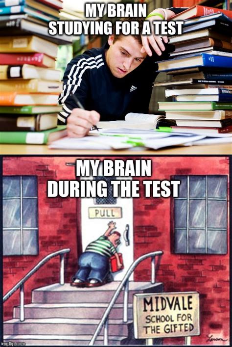 Image tagged in far side push pull,studying Imgflip