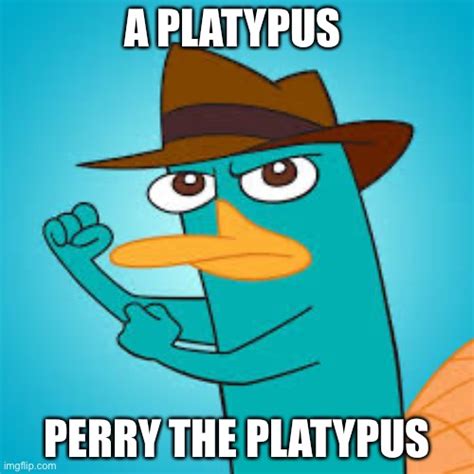 Image tagged in perry Imgflip
