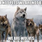Image tagged in wolves unite Imgflip