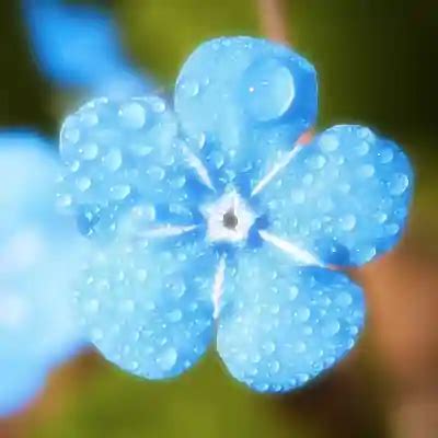 codini.rgarabwor.edu.pl. 