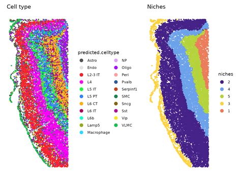 Imagedimplot seurat.  While the analytical pipelines are similar Seurat...