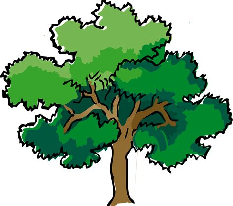Images Of Trees For Drawing