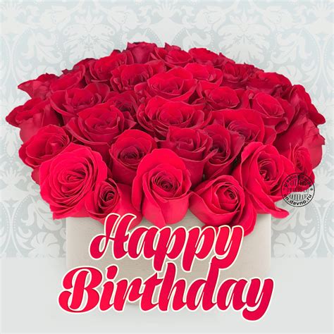 Images of happy birthday roses. Birthdays are special occasions that give us the opportunity to celebrate and show our appreciation for the people we care about. When it comes to wishing a friend a happy birthday... 
