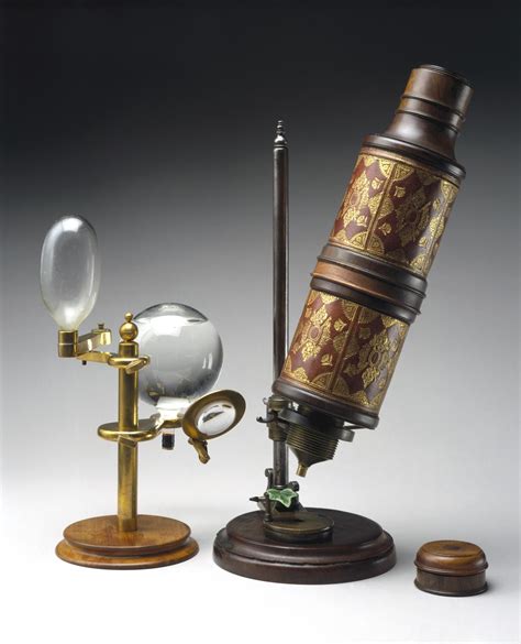 Images of robert hooke microscope