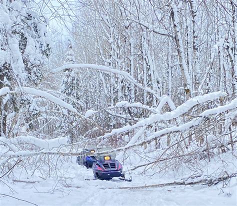 Images show how an blizzard has devastated a.