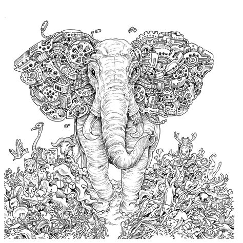 Read Imagimorphia An Extreme Coloring And Search Challenge By Kerby Rosanes