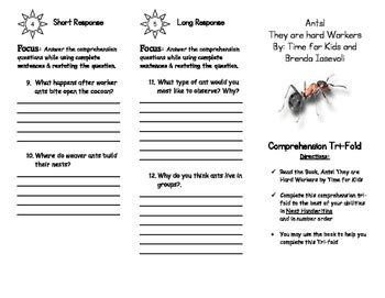 Imagine It Study Guides