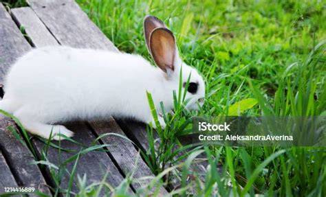 Imatlar Halı ve Koltuk Yıkama